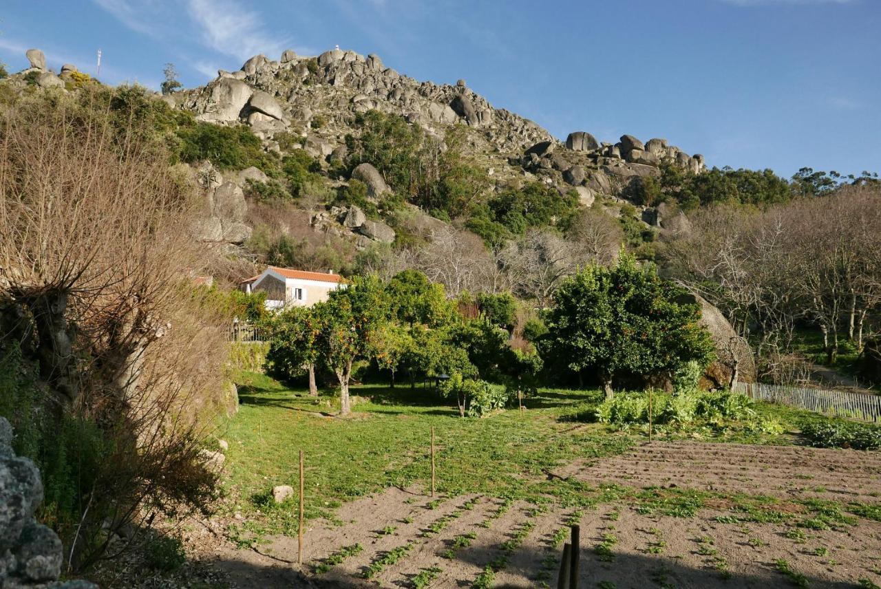 Quinta De Sao Pedro De Vir-A-Corca Em Monsanto Bed & Breakfast Exterior photo
